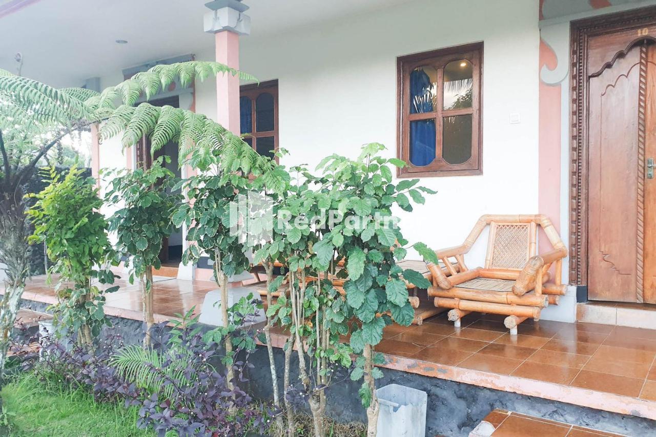 Arlina'S Guest House Kintamani Redpartner Exterior photo